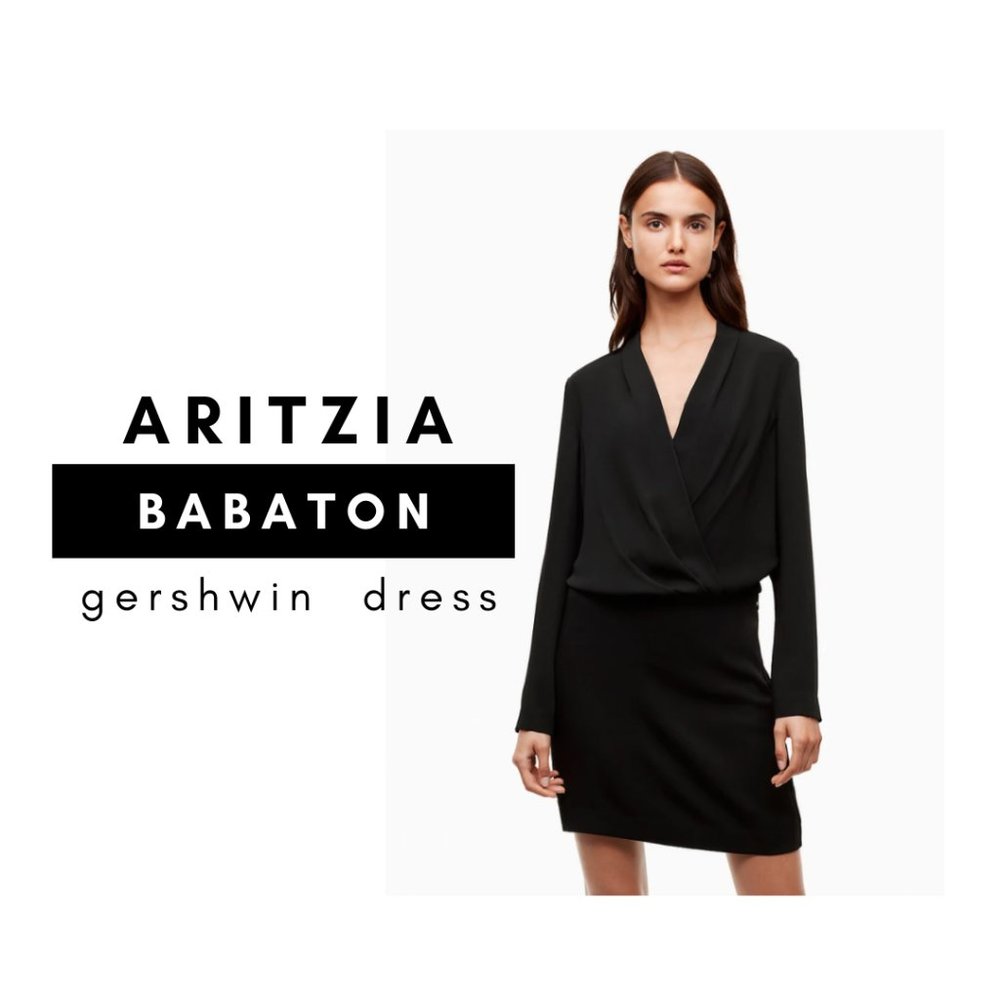 Aritzia Babaton Gershwin Dress - Size 6